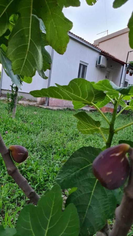 شقة Apardibra بار المظهر الخارجي الصورة